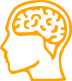 brain